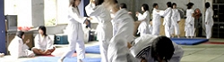 judo.jpg